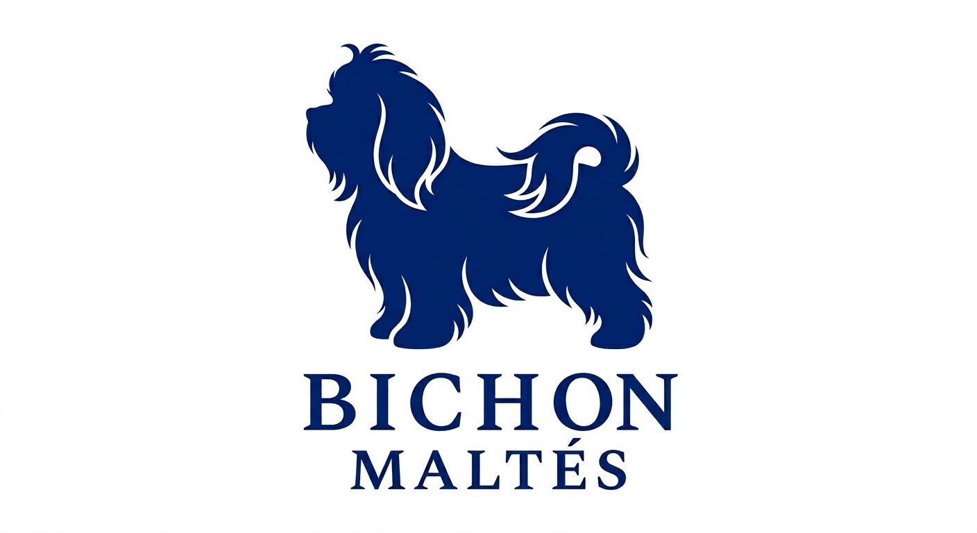 Bichón Maltés